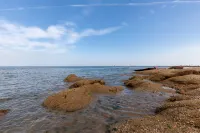 日照海洋公园附近酒店选择思路:亲子游客重点看哪些条件 日照海洋公园附近酒店选择思路:亲子游客重点看哪些条件